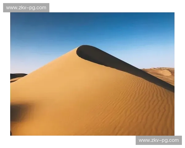 在线观看比分的极致体验：不再错过每一个瞬间